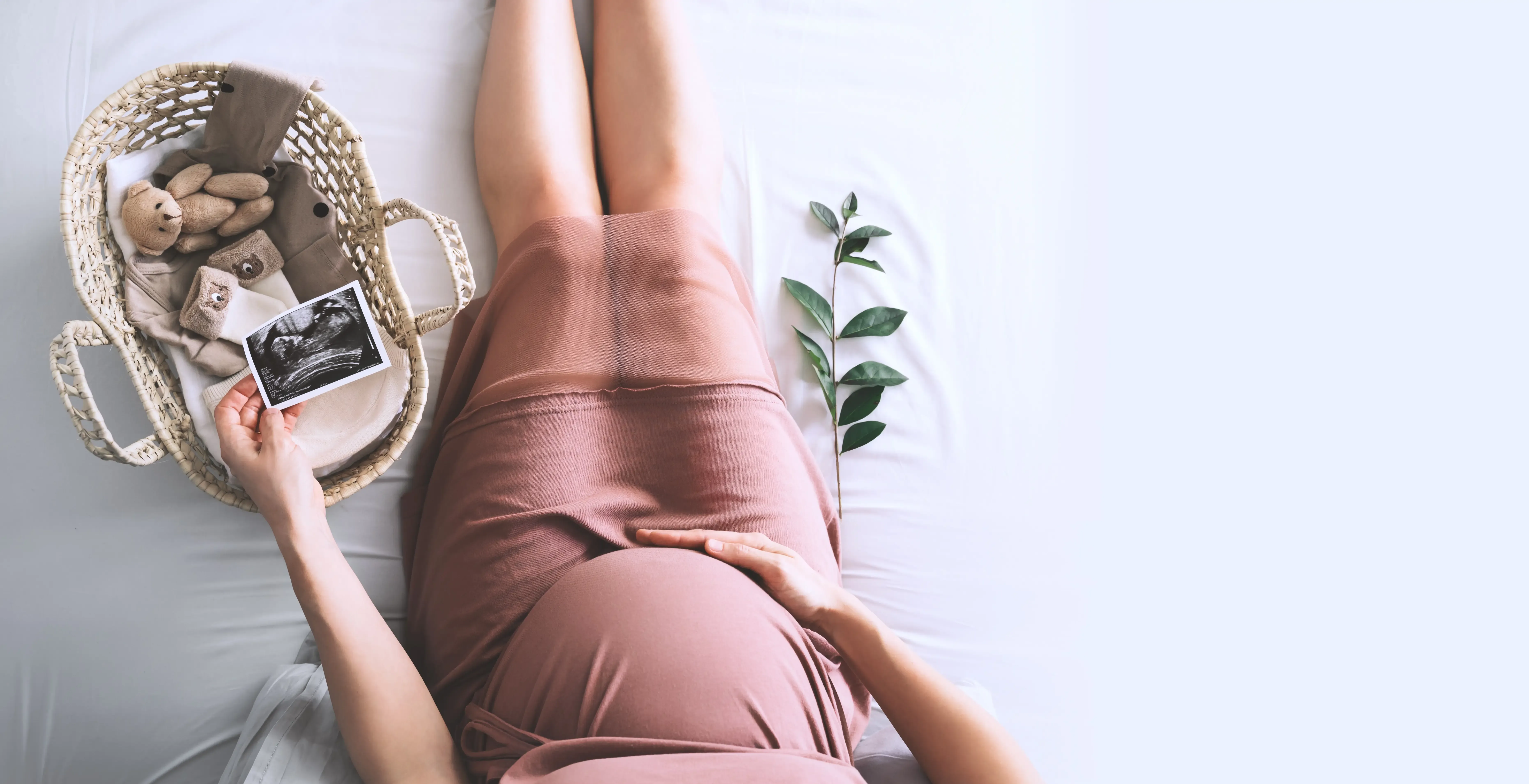 Baby & Infant Information